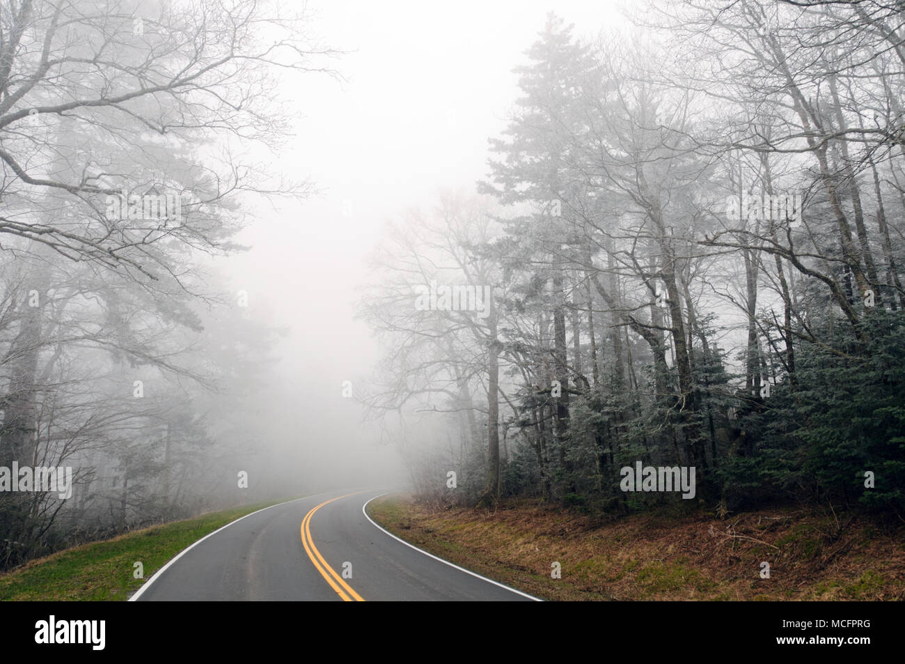 Clingman Cupola della strada nella nebbia nelle Smoky Mountains Foto Stock