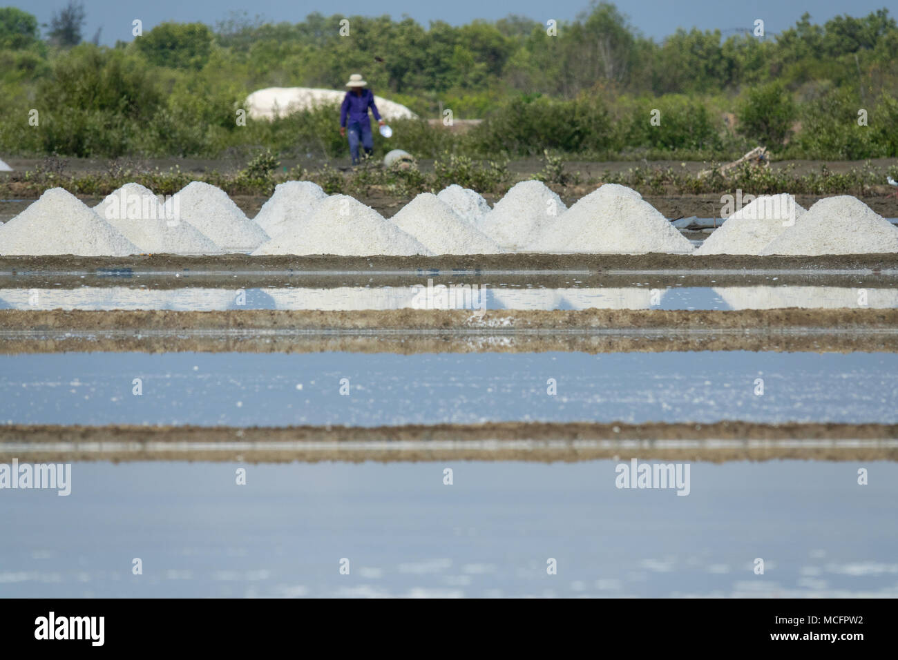Sale bianco campo nella giornata di sole. Royalty di alta qualità gratuitamente immagini di stock di sale bianco campo in un villaggio sulla spiaggia. Il sale è un alimento importante di persone Foto Stock