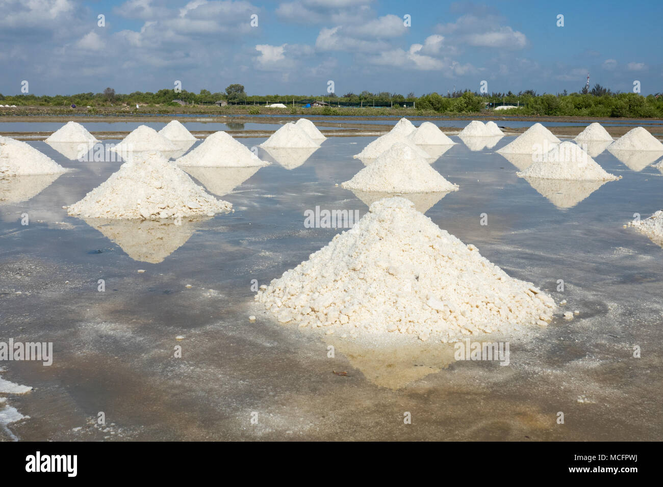 Sale bianco campo nella giornata di sole. Royalty di alta qualità gratuitamente immagini di stock di sale bianco campo in un villaggio sulla spiaggia. Il sale è un alimento importante di persone Foto Stock