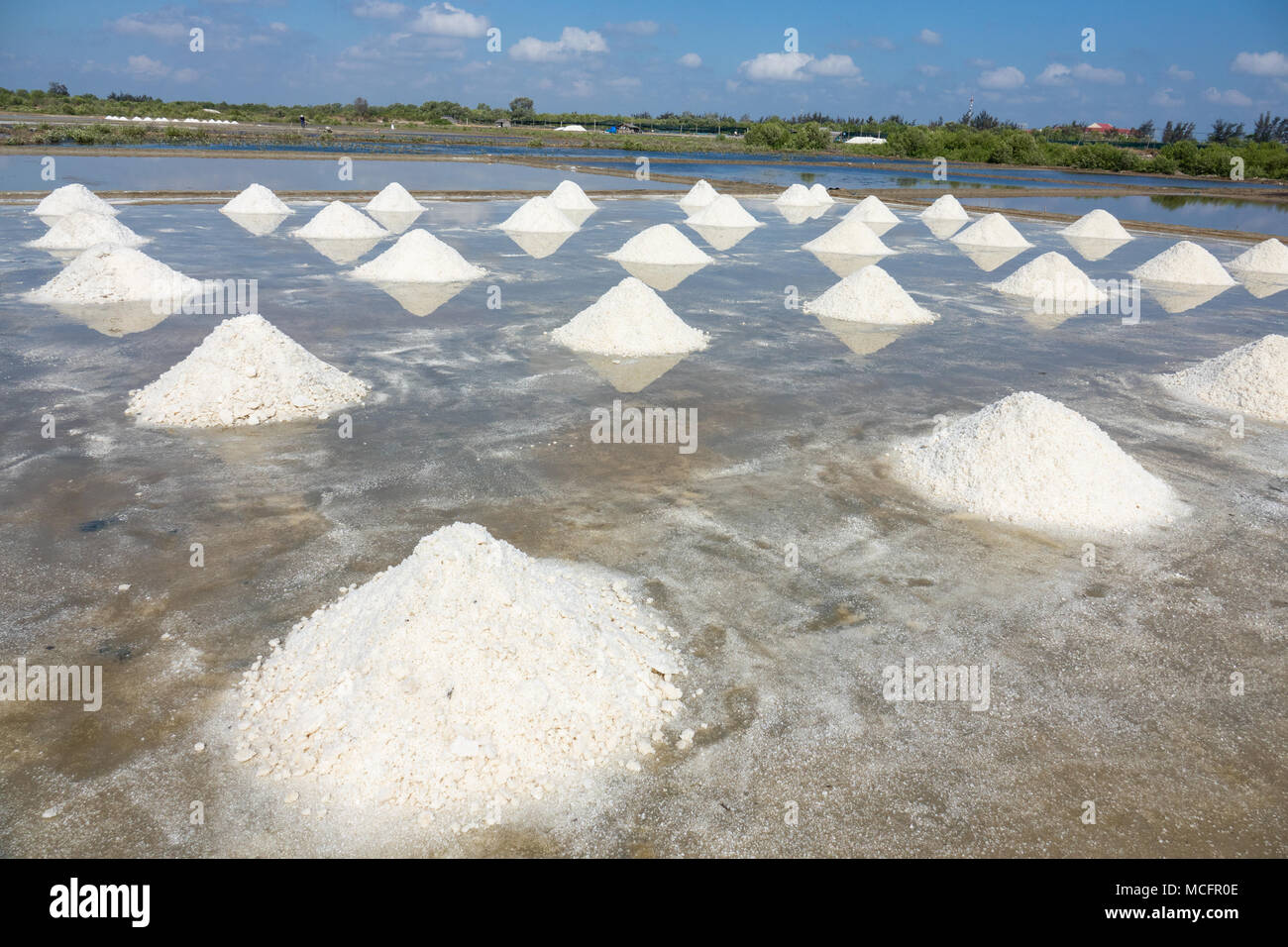 Sale bianco campo nella giornata di sole. Royalty di alta qualità gratuitamente immagini di stock di sale bianco campo in un villaggio sulla spiaggia. Il sale è un alimento importante di persone Foto Stock