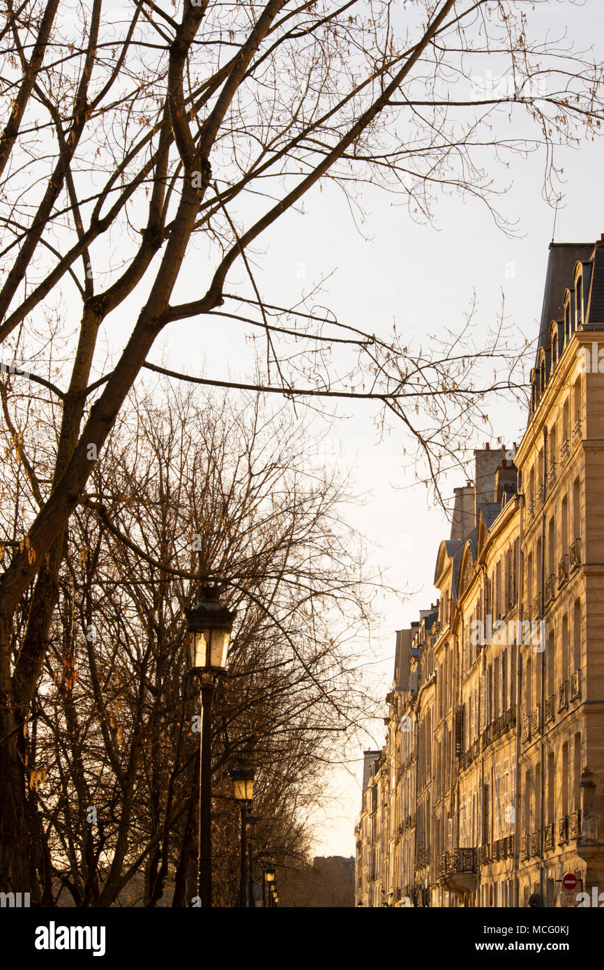 Xvii secolo case lungo il Quai de Bourbon sul Il St Louis in inizio di mattina di luce. Parigi, Francia, Europa Foto Stock