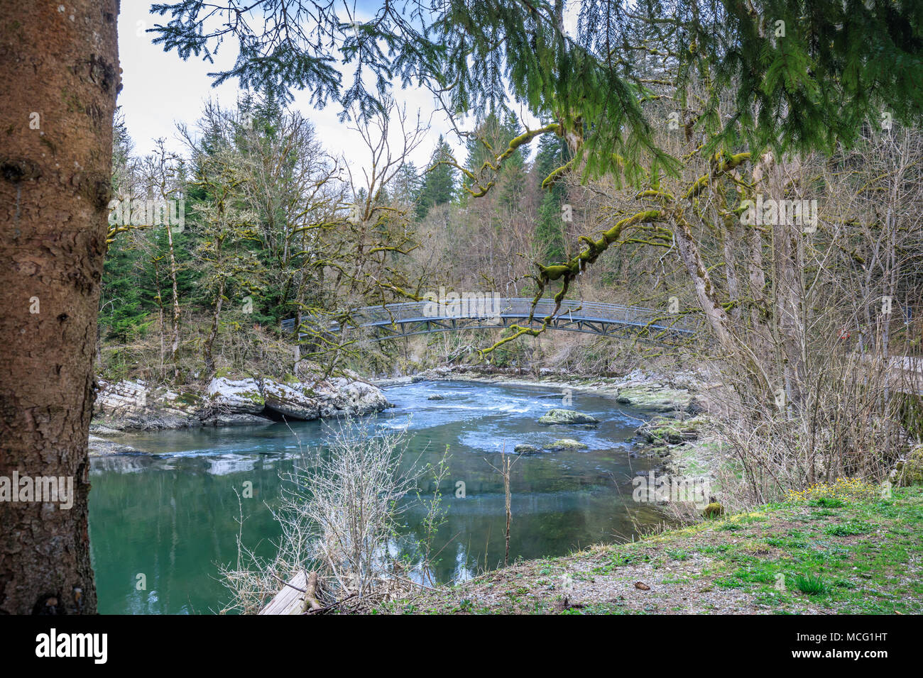 Ponte e alberi di muschio nei pressi di cascate Saut du Doubs svizzera Foto Stock