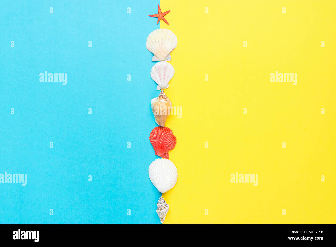 Conchiglie di mare di diverse forme a spirale piatta Stella Rossa su Split Duo giallo tono di sfondo blu. Estate Vacanze Vendita Beach Party Spa Wellness Concep Foto Stock