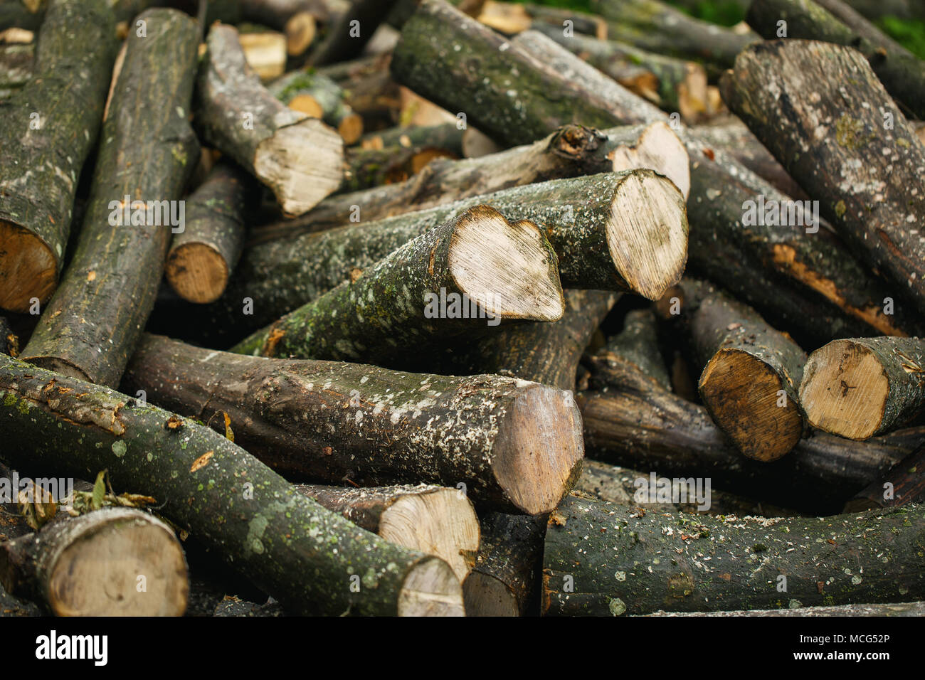 Legna da ardere per l'inverno, cataste di legna da ardere Foto Stock