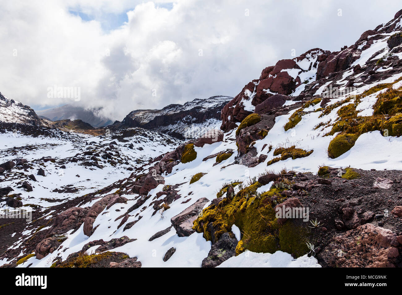 Neve fresca sulle rocce, vulcano Cayambe, Ecuador Foto Stock