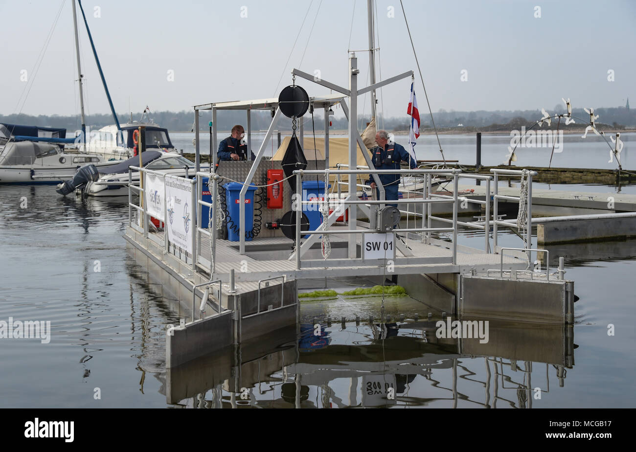 16 aprile 2018, Germania, Schleswig: una barca con un dispositivo di vagliatura per la pulizia di particelle di plastica dal Mar Baltico ingresso la Schlei, entrando nel porto di Schleswig. La Schleswig Stadtwerke (municipalizzate) realizzato e presentato la barca. Foto: Axel Heimken/dpa Foto Stock