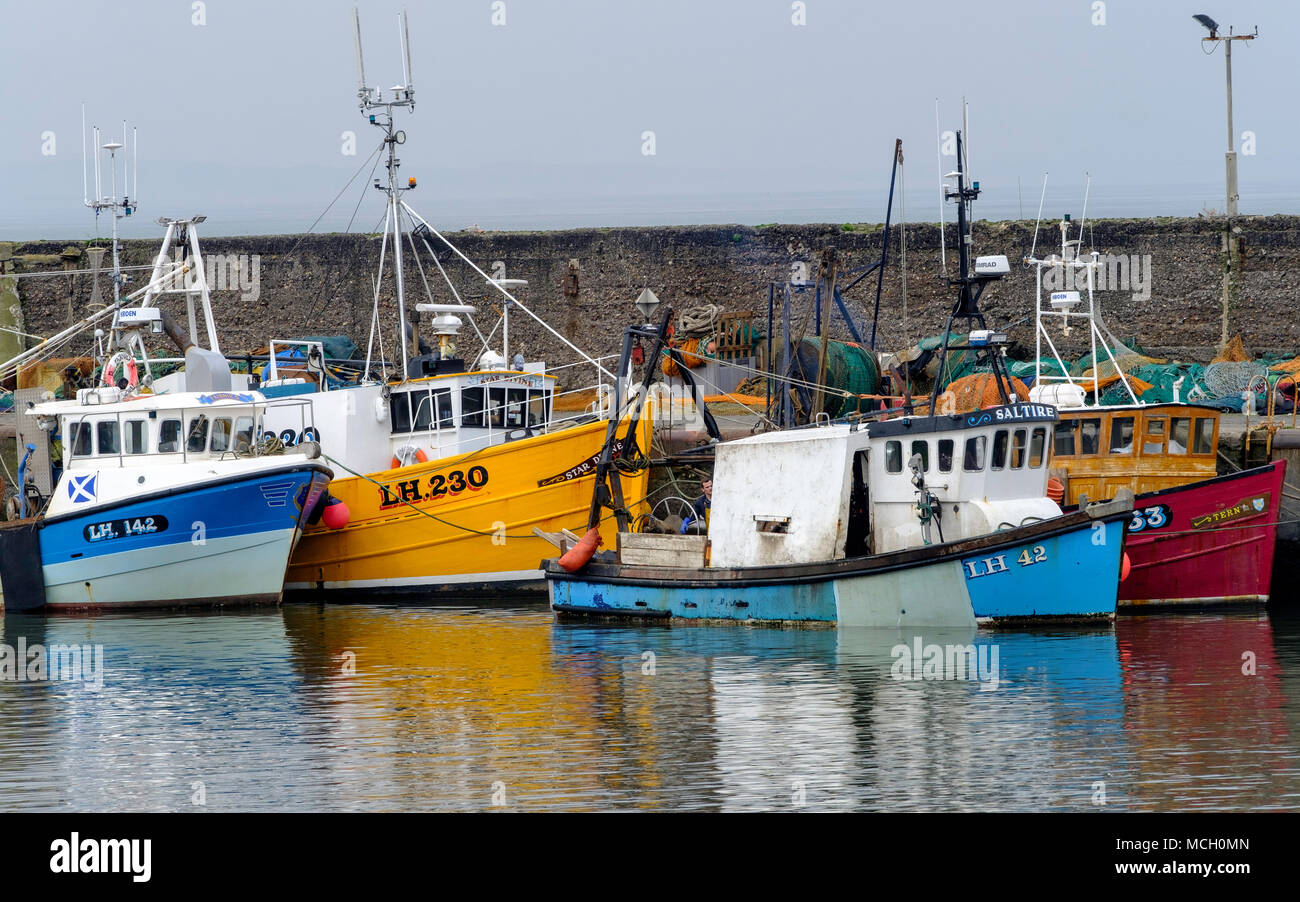 Vista dei pescherecci nel porto di Port Seton sul Firth of Forth in East Lothian, Scozia, Regno Unito. Foto Stock