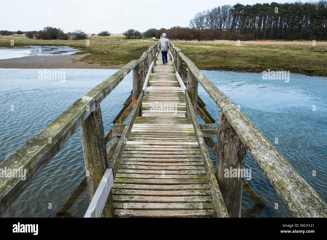 Vista della passerella in legno che conduce a a Aberlady Bay Riserva naturale sulla costa del Firth of Forth Estuary in East Lothian, Scozia, Regno Unito Foto Stock