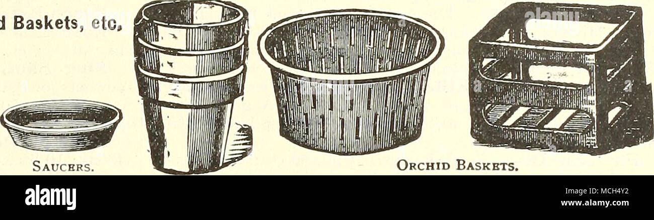 . Piattini. Cestini di orchidee. STANDARD FI^OlfVER pentole. Dimensioni. l|a. 2 " . 2Io" . 2" . 3 " . 3J". 4 " . Il pieno all'interno di misurazione. No chartje per imballaggio. Sei alla dozzina di rate^; 50 a 100 rales; 500 a 1000 dozzina. 06. 07... 08... 09... 11... 14,.. 18... 100. PO 44 50 56 69 88 1 06 1 38 .S3 46 . 3 96 . 4 45 . 5 45 . G. 93 . 8 41 .10 89 Siz ciascuno. Dozzina. 4} in $0 20. 100. 4ì 5 " o.S " 6 " 7 " 24. 32 41. 19. 62. 78. ...% 56 ... 1 88 ... 2 50 .. 3 13 ... 3 75 ... 4 80 . 6 00 1000. Dimensioni. .Â§12 37 8 in . 14 85 9 " . 19 80 10 " . 24 75 11 " . 2 Foto Stock