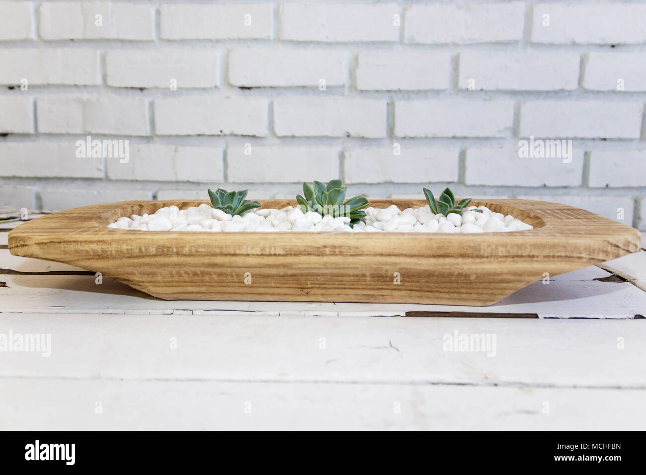 Succulente, bianco pepples e tabella vintage Foto Stock