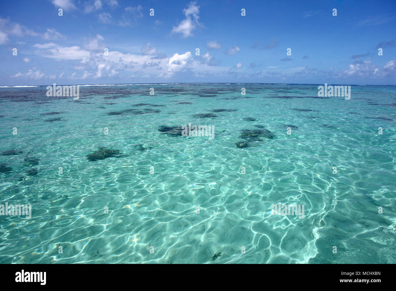 Bellissimo oceano chiaro, Punta Cana, Repubblica Dominicana, dei Caraibi. Foto Stock