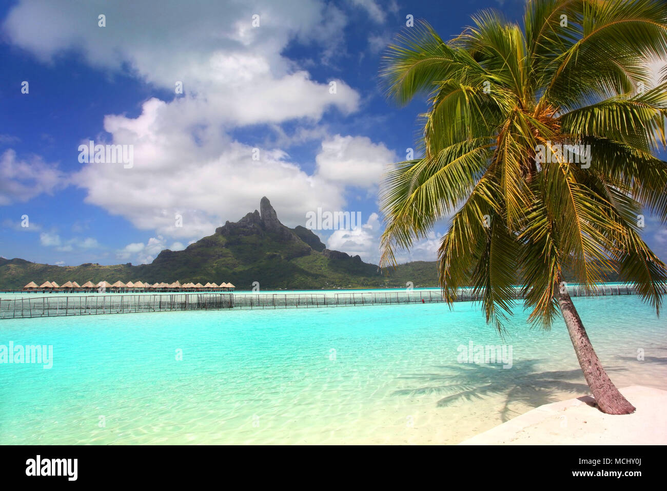 Bella spiaggia tropicale con il Monte Otemanu in background, Bora Bora, Polinesia francese. Foto Stock