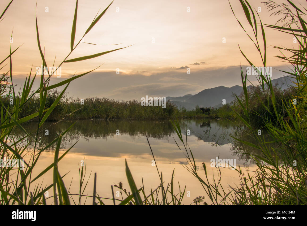 Tramonto sul lago Foto Stock