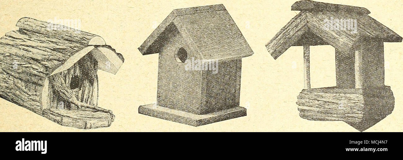 . '*&Lt;V â ¢ BLUEBIRDS E WRENS n. 55 Ciascuno - SI 50 WRENS, n. 60 Ciascuno - $0 75 ROBIN shelter ciascuno - $2 GO Wrens può essere indotta a nido quasi in questa assemblea saranno prontamente adottata da qualsiasi stile casa avente la corretta apertura- Rabins e Phoebes difficilmente costruire bluebirds, rondini, chickadees o wrens, ing. Questa casa- è fatto interamente di fatto interamente di cedro con effetto rustico, cedro, tinto mogano marrone. Un buon ''' ^ Â°'^^ ''Â°^^'^"' Pi-eferring tipo aperto specificare grande o piccola apertura quando l'ordine- tipo a posto nel frutteto dove un nella foto sopra, i'lg. quantità desiderata. T Foto Stock
