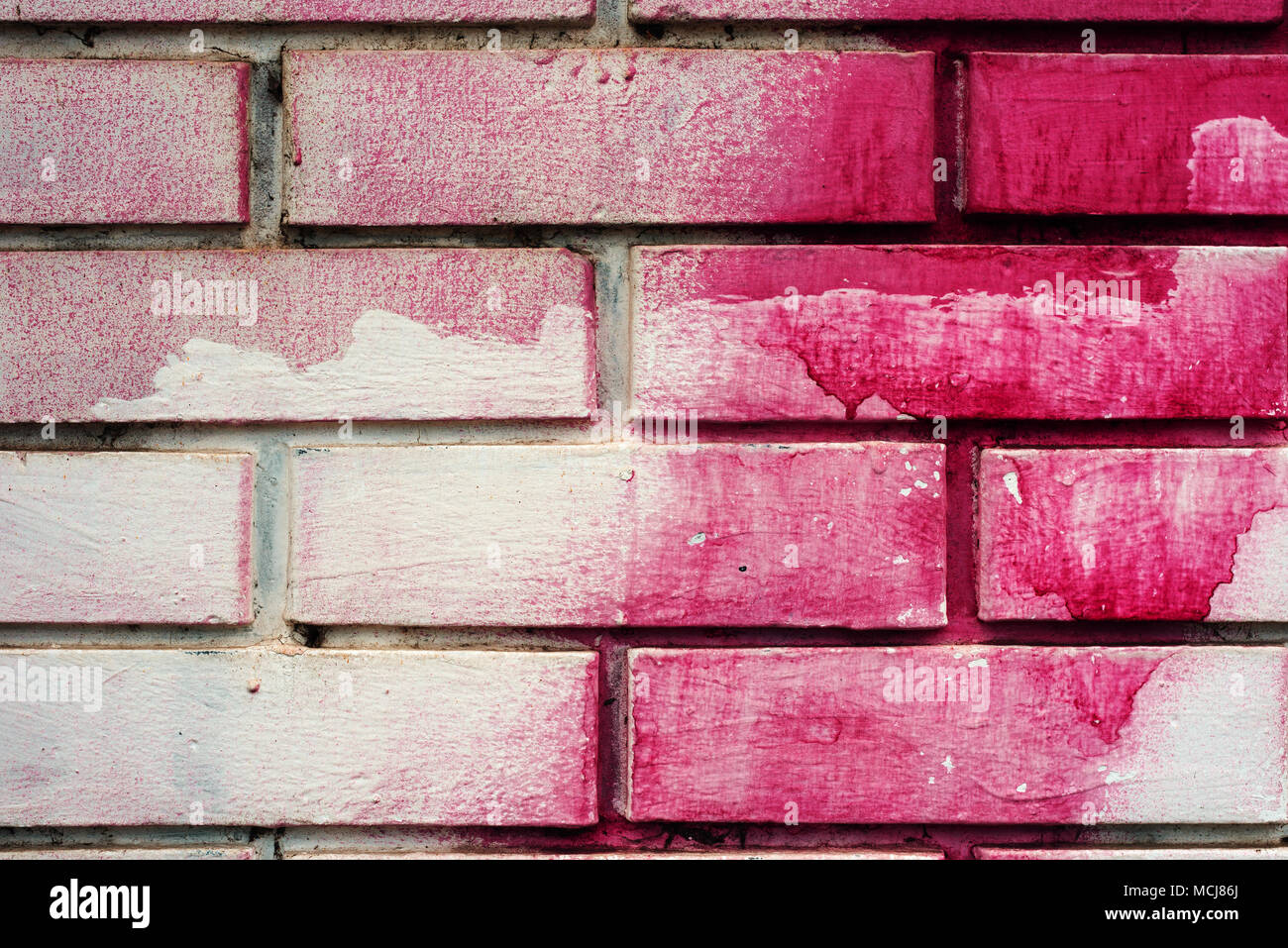 Dipinto di rosa e parete di mattoni texture come sfondo Foto Stock