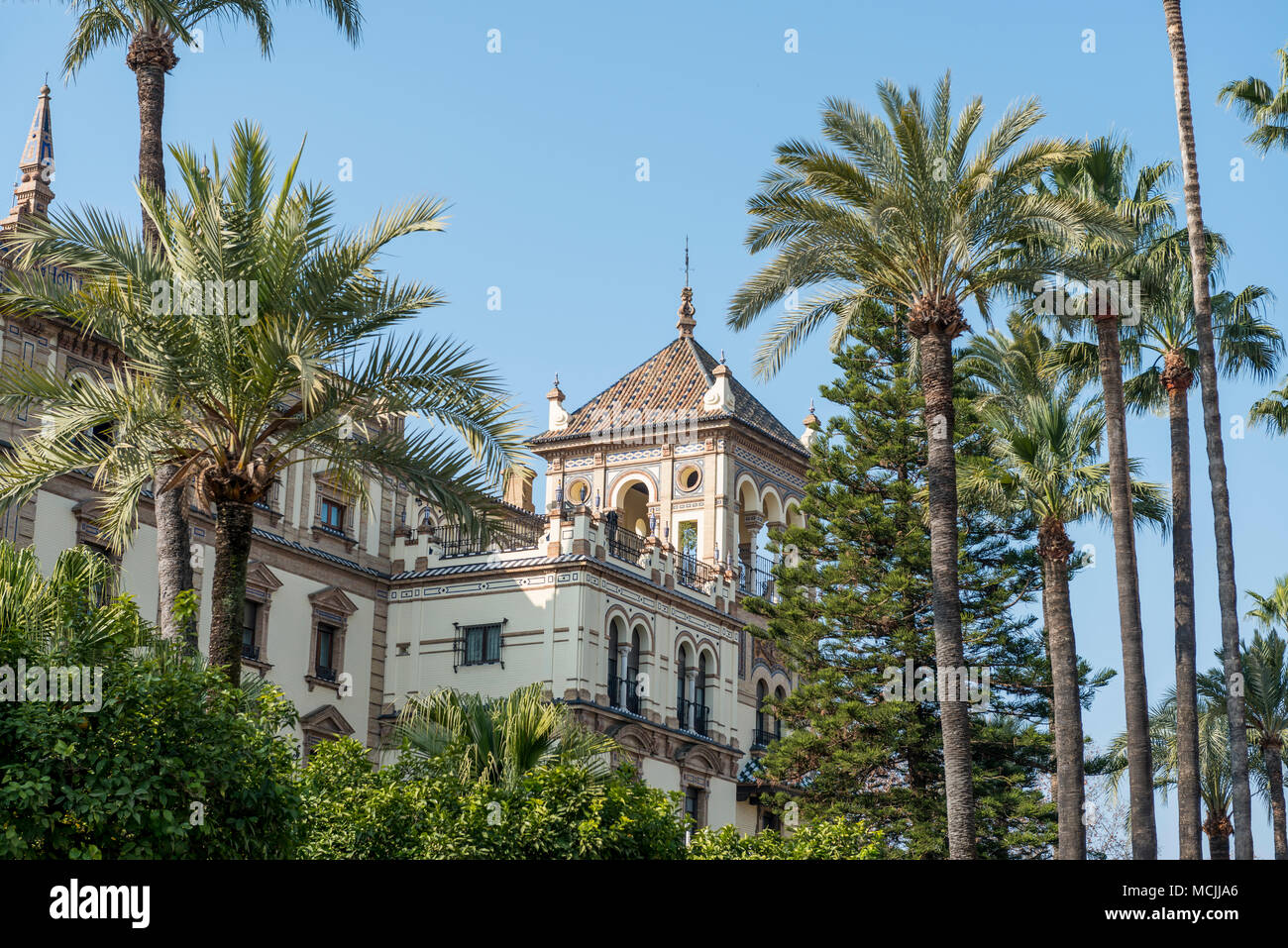 Palme di fronte al lussuoso hotel Alfonso XIII, Sevilla, Andalusia, Spagna Foto Stock