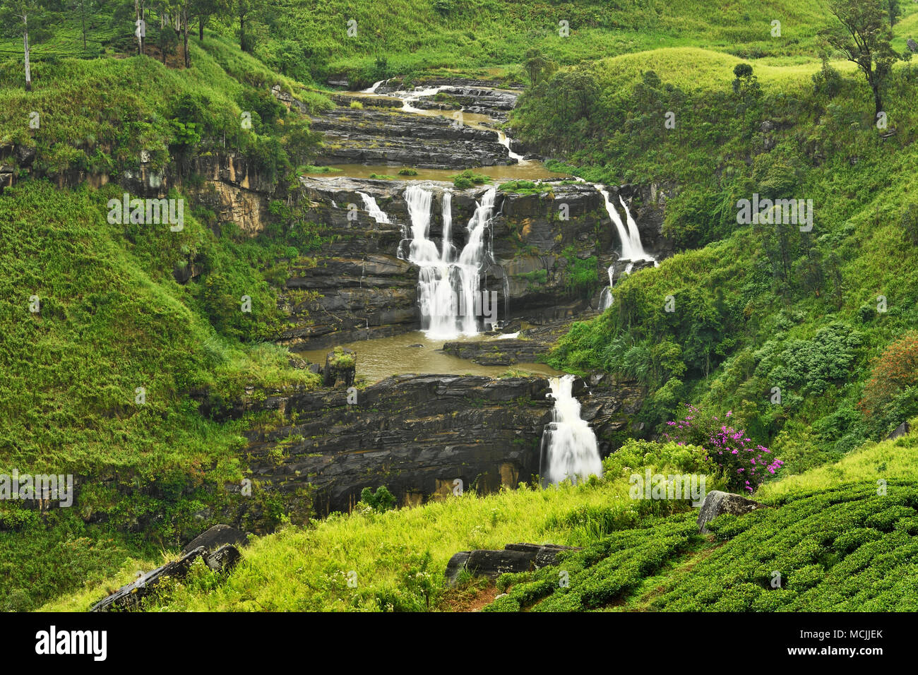St Clair's Falls, Highlands Centrali, Talawakale, Sri Lanka Foto Stock