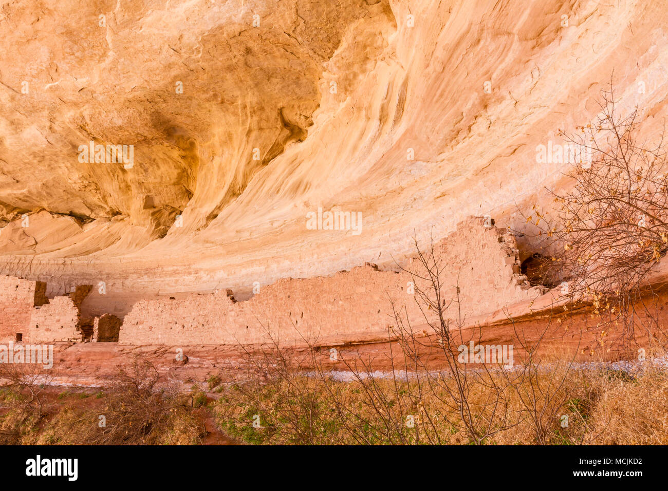 17 o 16 Camera rovina e un ancestrale rovina dei Pueblo in un nord verso l'alcova lungo il fiume San Juan vicino a Bluff, Utah. Foto Stock