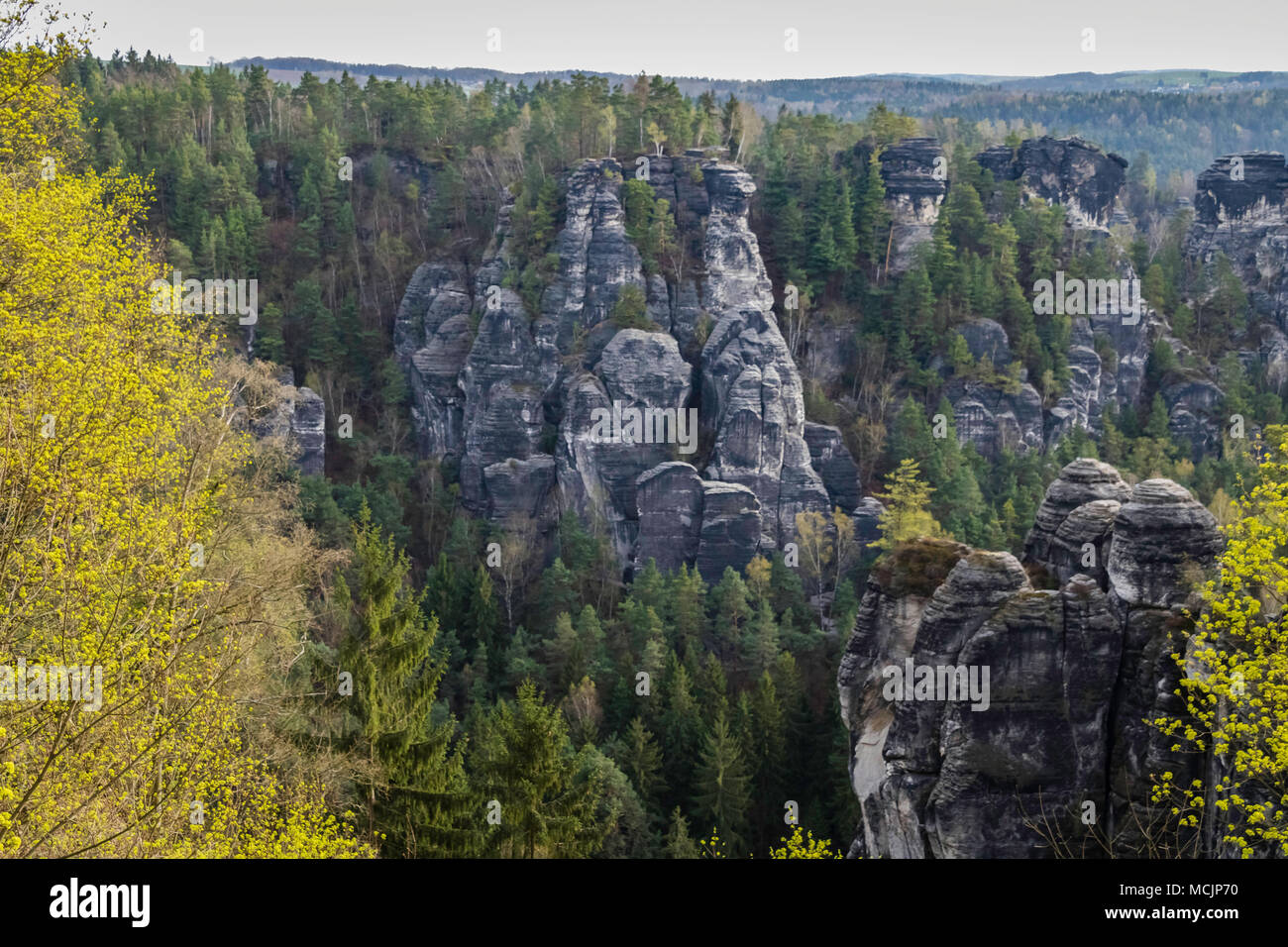 Rocce di arenaria paesaggio, Primavera, mattina, Rock Climbing, destinazione Svizzera Sassone, Germania, Europa Foto Stock