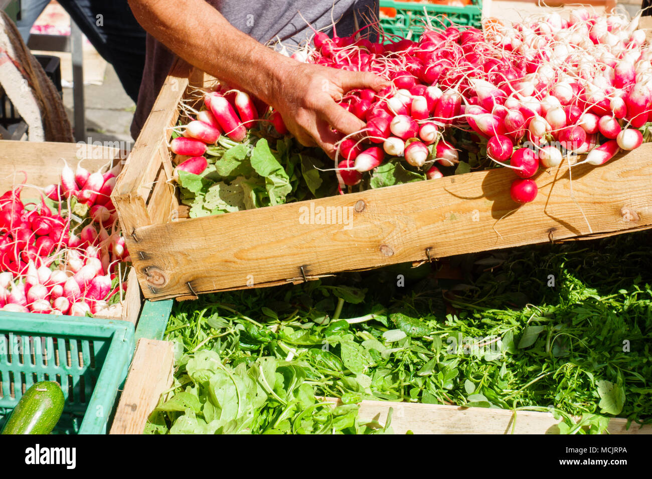 Fresche ravanelli e verdura a foglia per la vendita al mercato in stallo Foto Stock