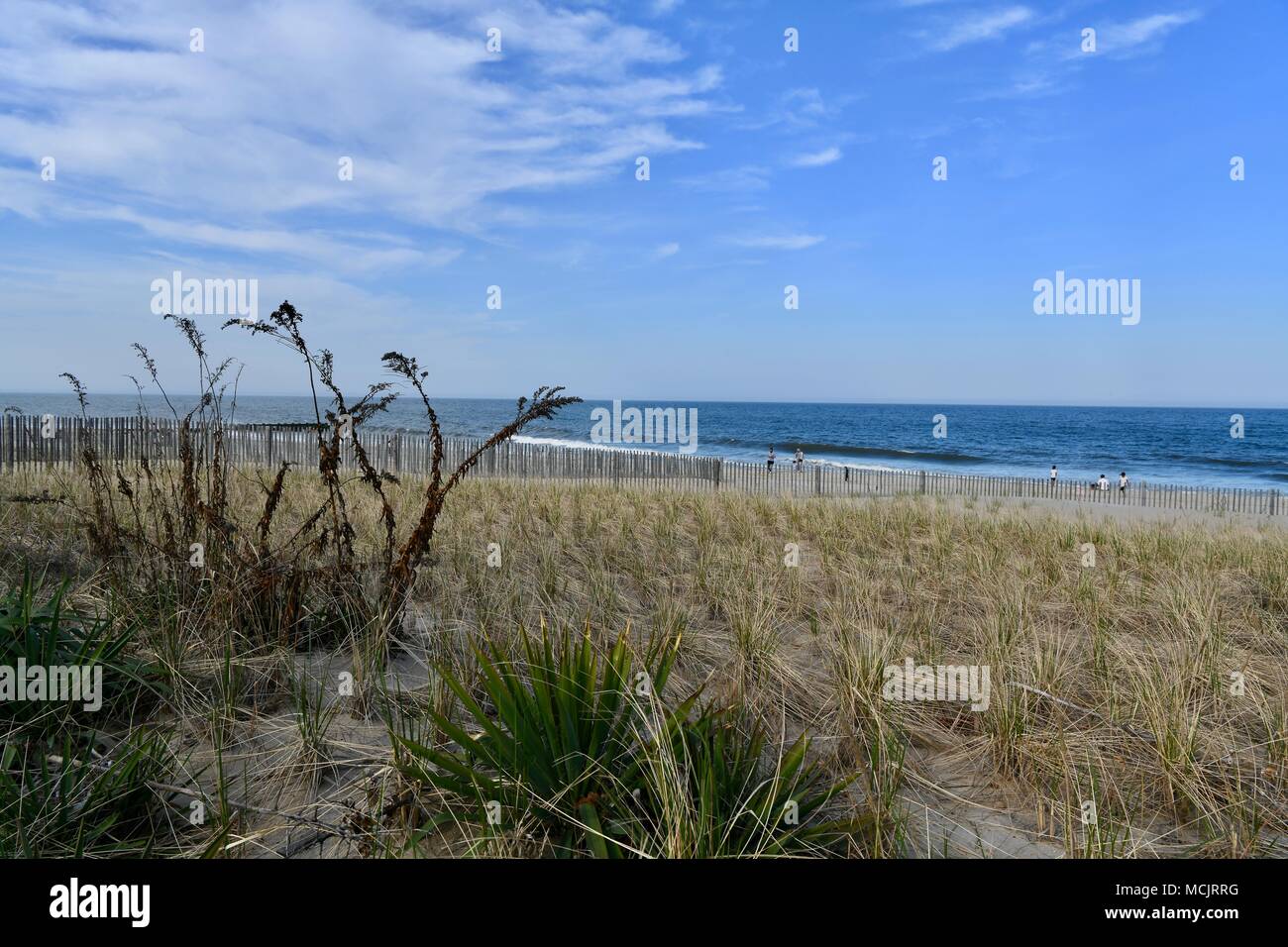 Rehoboth Beach, Delaware, STATI UNITI D'AMERICA Foto Stock
