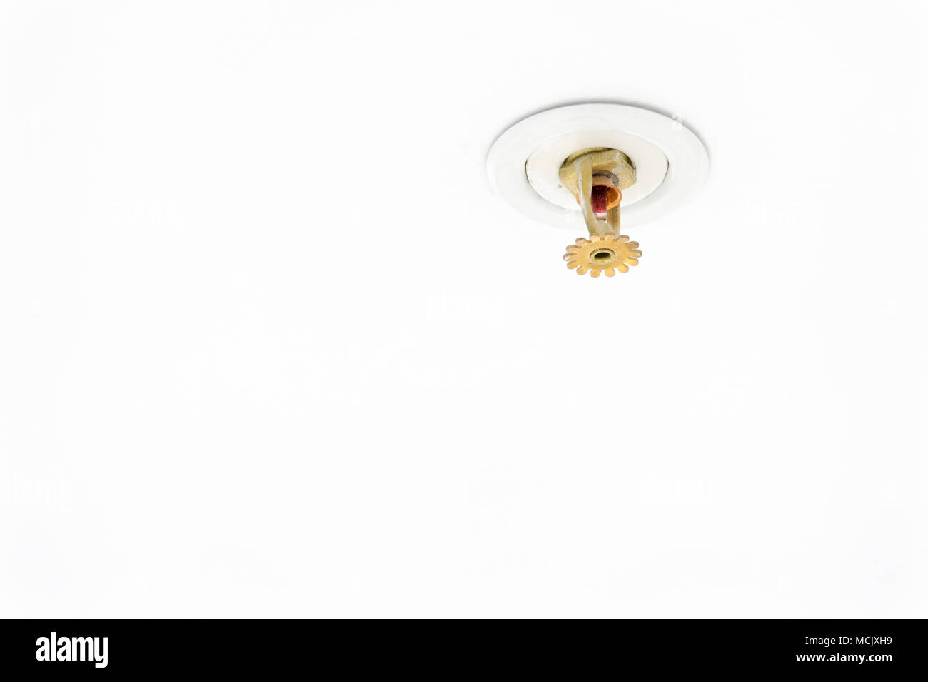 Chiudere l immagine di un impianto antincendio a sprinkler su bianco. Irrigatori antincendio sono parte integrante di una tubazione dell'acqua sistema progettato per la vita e per la sicurezza antincendio. Automatico Foto Stock