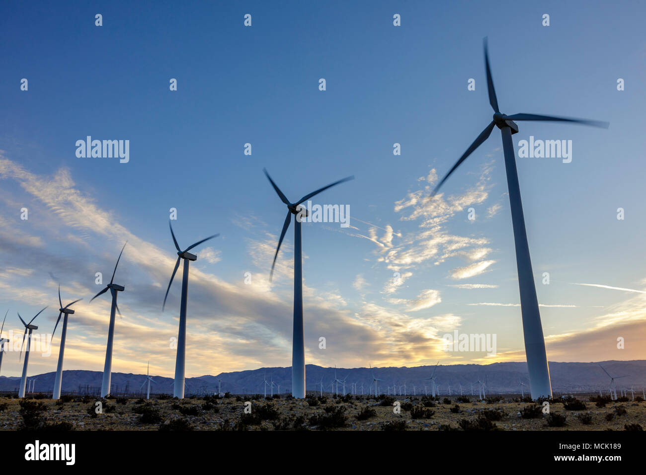 Moderna turbina eolica agriturismo vicino a Palm Springs, California dedicata alla produzione di energia eolica. Foto Stock