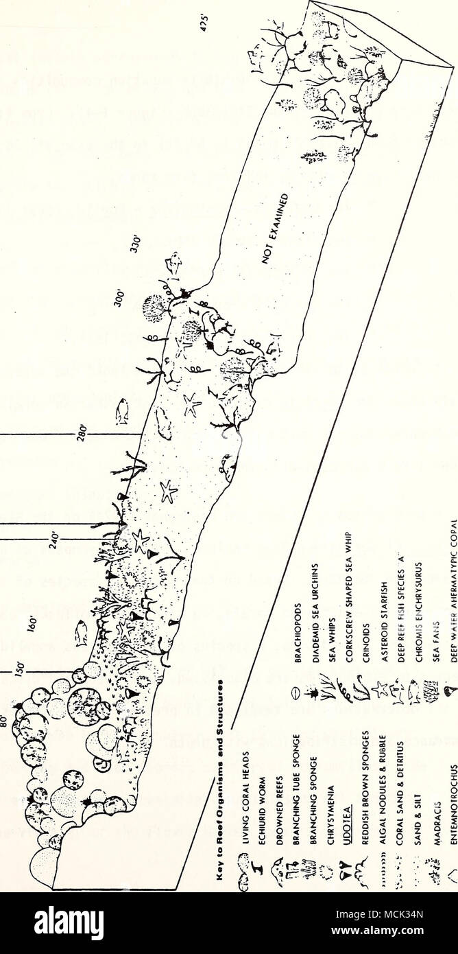 . O &lt; Z * 0 D O o 2 Z UJ O) () u a z - &gt;- OK X &lt; GU Mi 55 5 o z &lt; o &lt; O OS u 3 ac o â¢H 0) d bO â¢H â 5 ^ Foto Stock