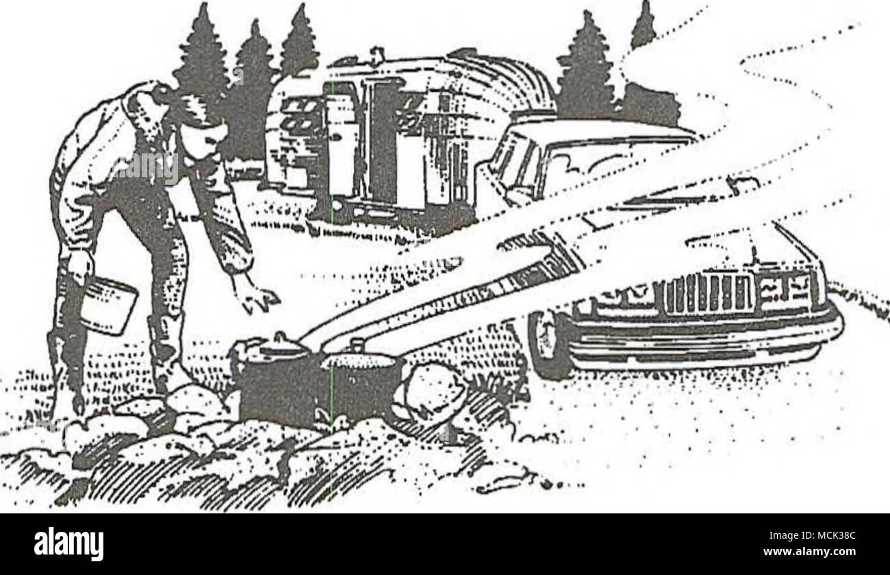 . Da particolari specie di stato di gestione La gestione direzione sotto questa alternativa potrebbe incoraggiare le distribuzioni di potenza le linee di tensione superiore a 69 kV, importanti oleodotti e cross country linee di comunicazione per individuare adiacenti ai diritti esistenti di modo. Tutti i diritti del modo in cui le applicazioni dovrebbero essere valutati caso per caso. Linee di distribuzione di meno di 69 kV, telefono locale e linee via cavo e delle strade di accesso alle parcelle privato, federale di petrolio e di gas, leasing e data mining precedenti sarebbe stato concesso ai candidati qualificati. Nevada Dipartimento dei trasporti dovrebbe essere previsto con 4-60 Foto Stock