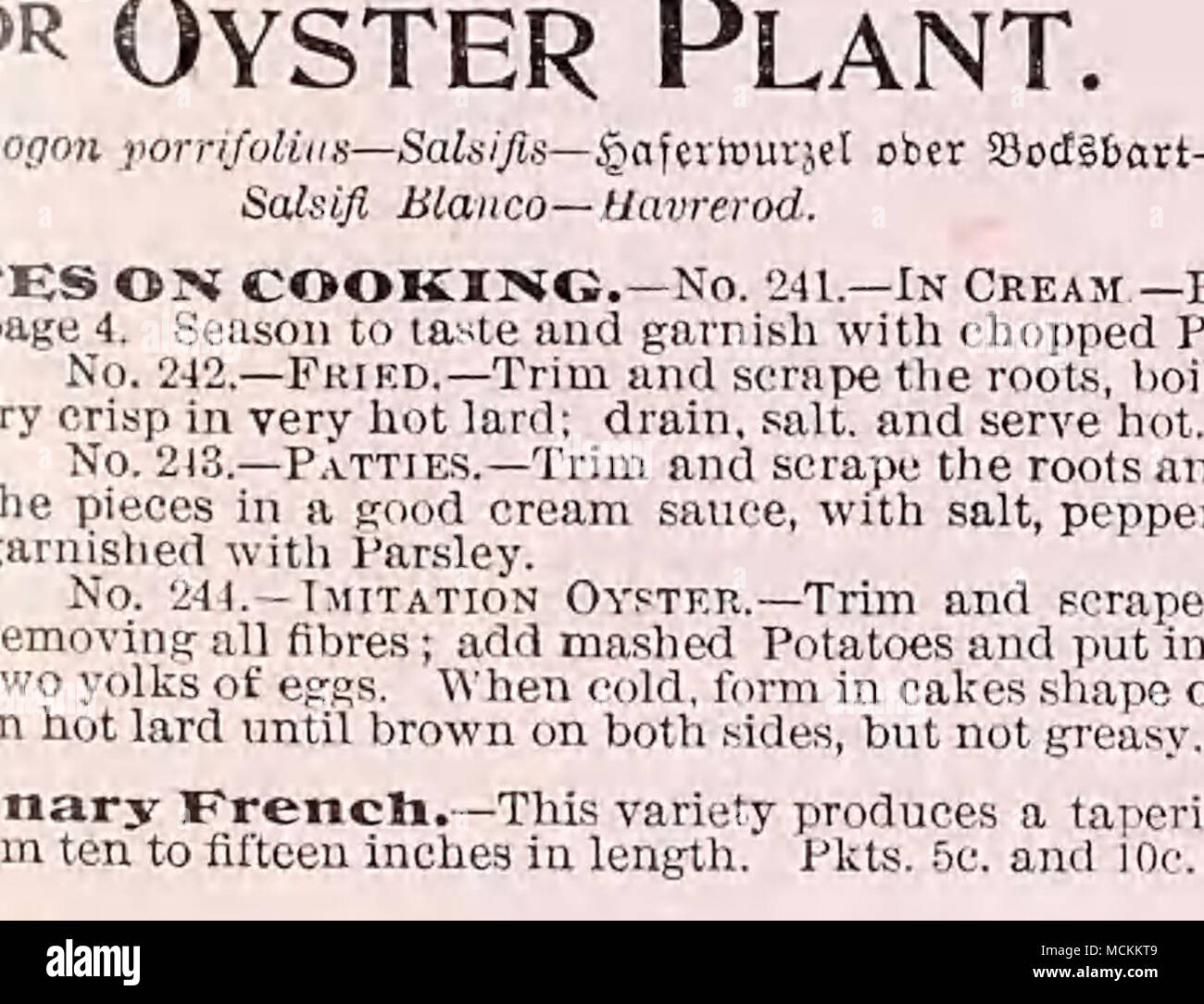 . Con il nostro "campana" marchio per distinguerlo dalle imitazioni e slock spuri, per borse e la scala. W e può vendere a un prezzo inferiore .'-anie seme come viene venduto da mi- Nessun seme chuTiie ine'r- chanls come Bloomsdale, che meno seme è cresciuto in Knropc ed è sempre di" incerta ukc e vitalità, per non dire nulla di incerta ([UALITA'. Sulla terra buona si ' ' gli spinaci devono essere tagliati per la acro e liJc.; per oz. lOc. xtv di barili di Blonm.saale abbiamo record di I JF) e 160 barili di tbe acro. Pkts. 6c. Round Savoy I,eavea.-venduto da altre case come Bloomsdale. Abbiamo qui otTer sementi di Spinad Foto Stock