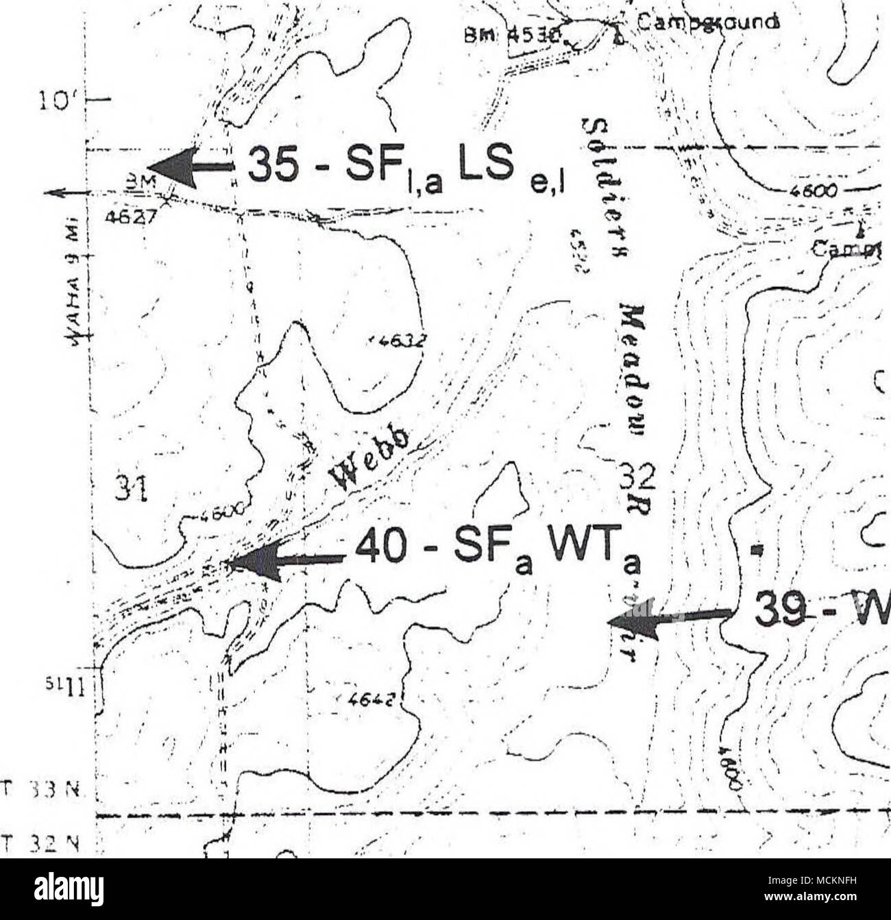 . 39T--WT, e,l,a w A 1 km LS = Long-toed Salamander WT = occidentale (boreale) Toad PT = Pacific Treefrog SF = Rana maculato TG = Western Terrestrial Garter Snake CG - Comune Garter Snake a = adulti(s) c = chiamando e = uova 1 = larve o girini m = metamorphs (anfibi) Figura 46 Ubicazione di stagni e gli anfibi e rettili dal 1994 e 1995 indagini, la mappa v è scansionato da Winchester West un quadrangolo 7.5 minuto serie (carte topografiche) 1986 mappa. Lettere maiuscole indicano specie. Piccolo caso lettere indicano fasi di vita. Vedere la legenda sopra. Foto Stock