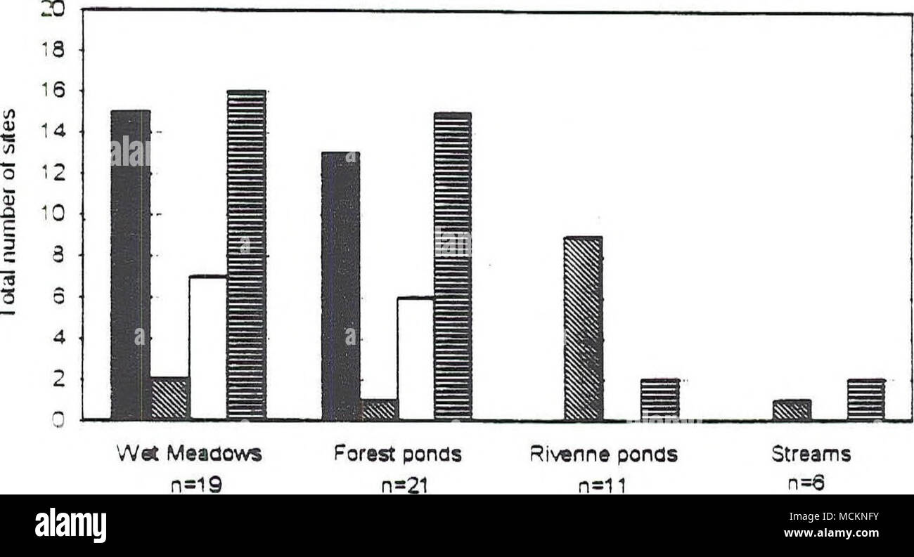 . Â LS ^WT OPT 1SF prati umidi 0=19 di figura 36. Tutti gli intervistati di stagni e zone umide sono state suddivise in tre categorie a seconda delle caratteristiche di habitat. Sono inclusi i flussi presi in esame. Le barre rappresentano il numero totale di siti di una specie è stata osservata. Tutte le osservazioni di SF in flussi erano solo non-allevamento adulti. LS = Long-toed Salamander TF = coda di rospo WT = Western Toad PT = Pacific Treefrog SF = Spotted Frog Foto Stock