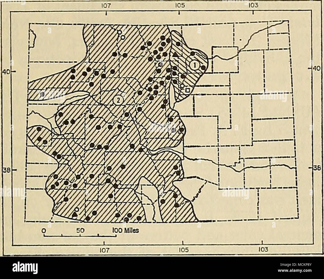 . Fig. 87. La distribuzione di due specie di topi di salto in Colorado. 1. Hudsonius Zapus preblei. 2. Zapus princeps princeps. Per la spiegazione dei simboli, vedere p. 9. Confronto.-Da Z. h. campestris, la sottospecie del nord-est del Wyoming e ad- jacent aree, Z. h. preblei differisce per il fatto di avere una più pallida, duller dorso che è meno pesantemente lavato con nero, e generalmente un cranio più piccoli con più stretta incisivo meati che si. Per ulteriori confronti, vedere Krutzsch (1954:452). Le misurazioni.-Le misure esterne di tre maschi e la media (e) estremi di nove femmine da Roulder sono: 202, 212, 219, Foto Stock