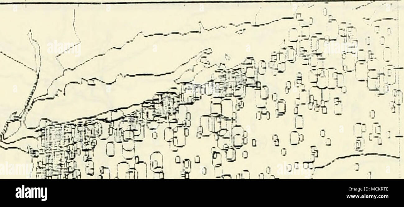 . 1 r-2 ;â ¢ 1 / â â - â ¢ io ".-:â ¢ . jiin r?v r (-*-. v â. 1 eJ'S Vr :--â' .â¢â ". ' s f|V''ho 1 - "â ¢- ] i r^Ss? 1 â â J d? Â§K â a)n ' La* fl UB ' Q /V"ac flfnUfll un go rp ,J - o &AMP; -' â â¢â .-  JSÂ"?Uu&LT;"nnn ' H^r 3 di un v.Ti raSM, U ^ o 6L01 / ;..;L .. ' ,' ,"Q H [ Ti;â.   0 o n " â â â â 1   '..' J - - M i :, &lt; 55. D â ¢ Figura 3.1. Distribuzione a molla, 1968-1979, 69 Foto Stock