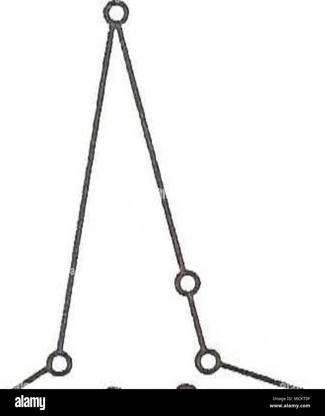 . ' ' ' ' ' ' 1 â |"l'ri â â ! ÂI fÂ"j JFMAMJJASOND Mese : AâEpilimnion "* Hypolimnion Bosmina MLN Foto Stock