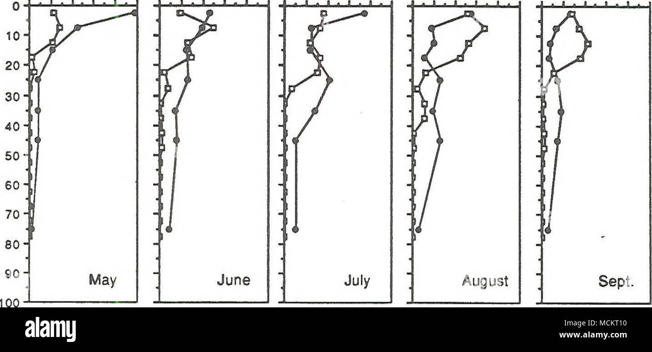 . Â i i i i i i i â ottobre i i i â i . i â Novembre la figura 19. La distribuzione verticale della calanoid copepods(#/L) da maggio a novembre, nel 1972 (simboli aperti), e 1988 (simboli chiusi) all'Mid-Lake stazione profonda nel lago Flathead. Foto Stock