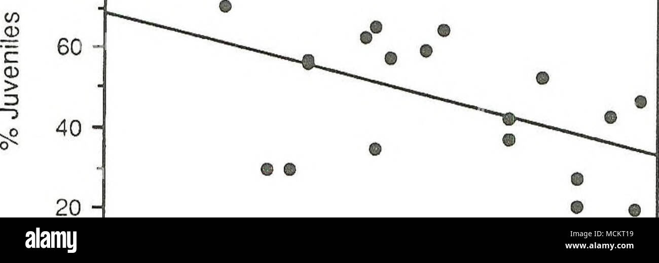 . Â¢âiââ âiââ âiâ&GT;âiââ âiââ âiââ âiâiâiâiâiâ' 0 10 20 30 40 50 60 70 80 90 100 di profondità (m) J nella figura 8. Rapporto tra la profondità di campionamento e la % di pazienti adulti e bambini M. relicta a FLBS siti di campionamento durante l'autunno 1988 Mysis censimento. j Foto Stock