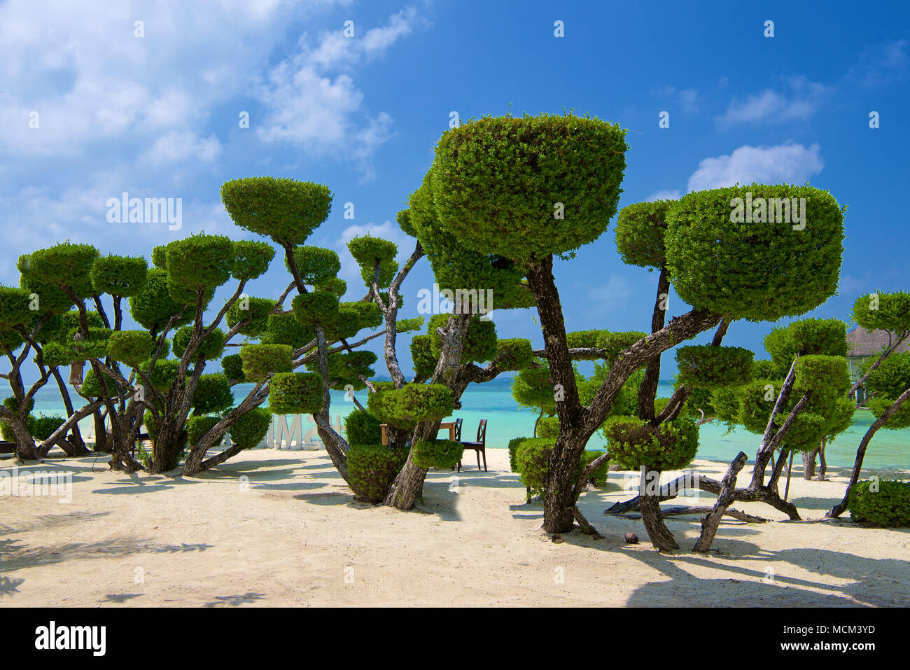 Topiaria da Lux Resort South Ari Atoll Maldive Foto Stock
