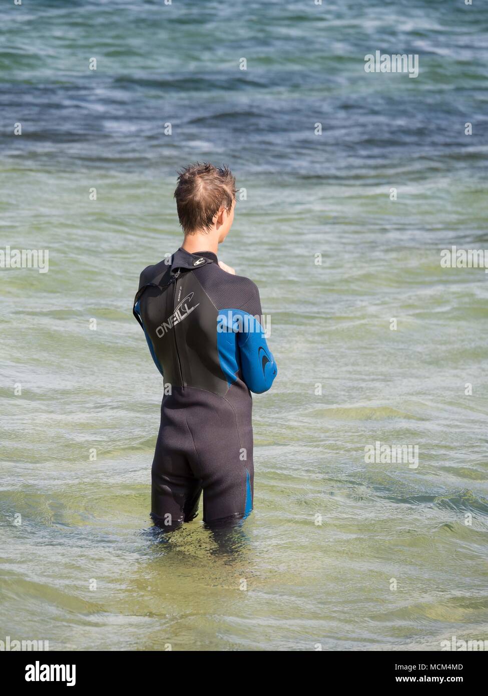 Giovane ragazzo in nero e blu muta guardando in lontananza mentre in piedi in acqua poco profonda in Brighton Bay Australia in una giornata di sole. Foto Stock