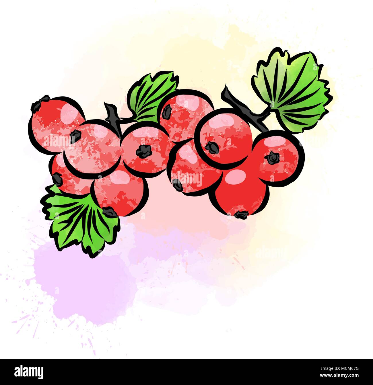 Disegno colorato di ribes. Un design fresco di frutti colorati realizzati in stile acquarello. Marketing moderno illustrazione su sfondo bianco. Illustrazione Vettoriale