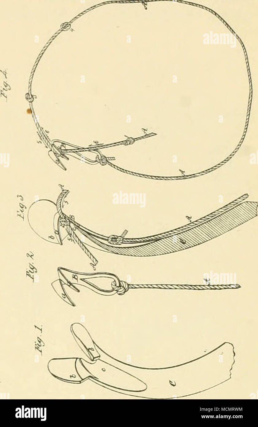 . JPjy/,/^a jS^ae/ /, X'Mu/j Aiitsf^.^MeeA /zz/^/un Cof/o77 Ba/e Tm Foto Stock