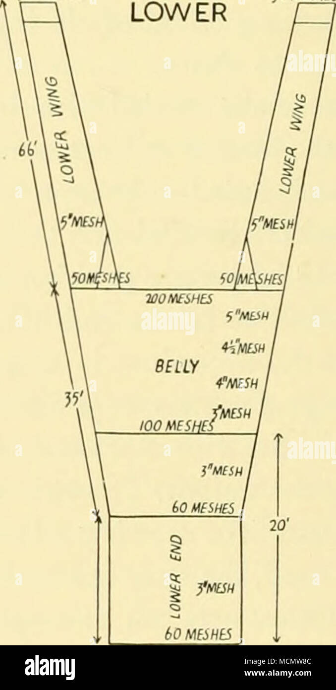 . Fig. 23. Piano di rete a strascico a divergenti utilizzato nella R.S.S. 'William Scoresby'. alta, dotato di staffe. Le reti da traino utilizzate nel 'scoperta' è stato un piccolo con testa-corda 40 piedi di lunghezza, realizzato per la specifica mostrata in Fig. 24; la lontra-boards sono stati di 5 m di lunghezza e 2 m. 11 alta, dotato di catene. Foto Stock