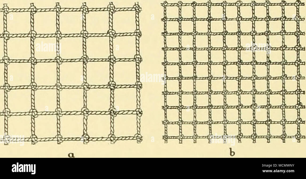 . Fig. II. A maglia fine pezza di rete utilizzato in tow-net costruzione. Nat. dimensioni, a, 7 mm. maglia; b, 4 mm. mesh. una circonferenza di 22 ft. a 2 ft. 3., dove si congiunge con la tela cyHnder, 2 ft. lungo, per l'attacco della benna. La sezione anteriore, B, 61 ft. lungo, è di 7 mm. mesh (nodo a nodo) netting^ (Fig. 11 a), e C è 13 ft. lungo, di 4 mm. tessuto a maglia^ (Fig. II b). Come nella N 100 vi sono tre funi longitudinali, e inoltre funi trasversale passante attorno alla rete, uno tra il sec- zioni B e C e una al centro del C questi sono stati realizzati originariamente della riga del registro per evitare qualsiasi tendenza Foto Stock