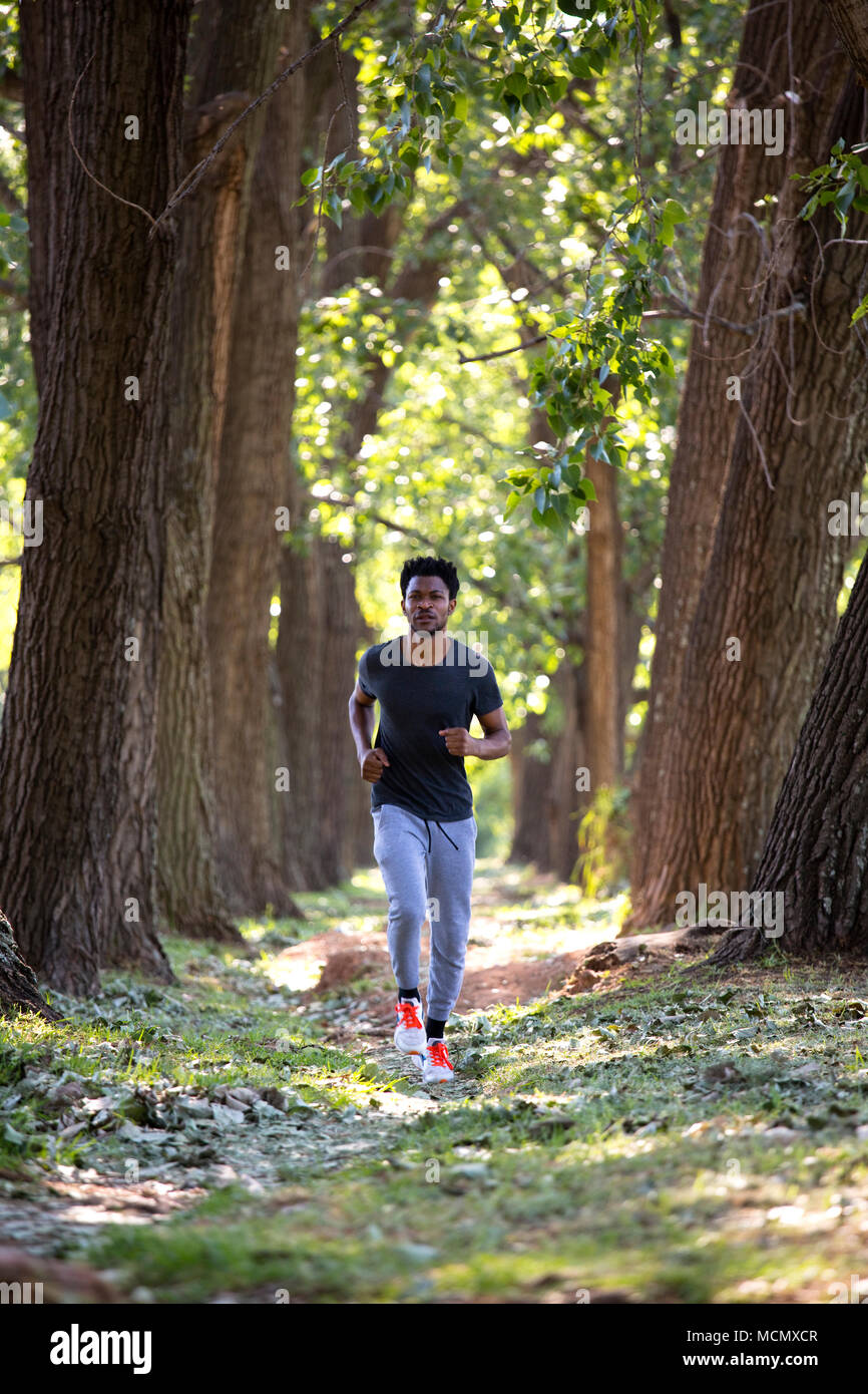 L'uomo jogging giù un percorso alberata in un parco Foto Stock