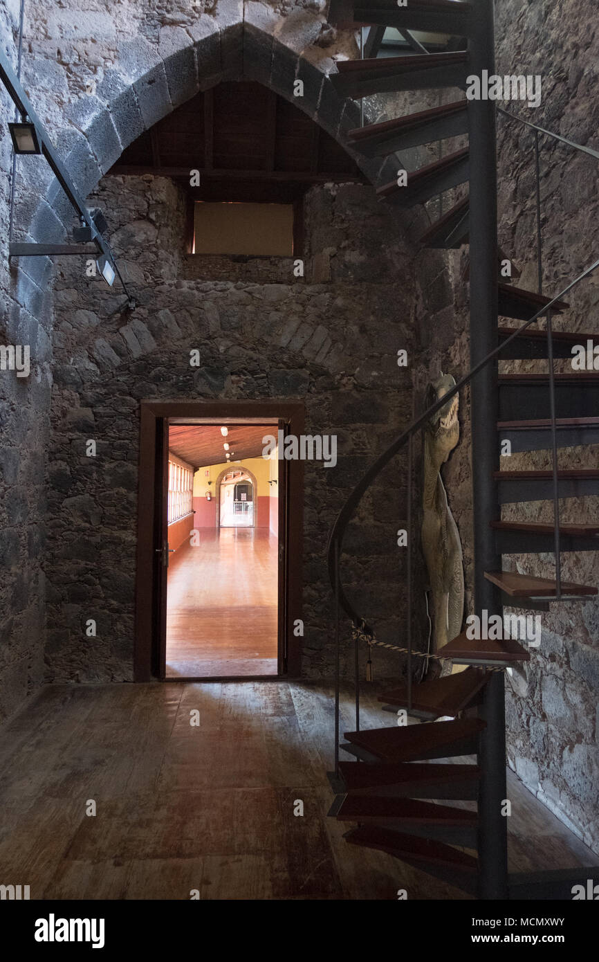 Il chiostro del vecchio convento delle Agostiniane che divenne l'Instituto de Canarias museo nel 1946, La Laguna, Tenerife. Foto Stock