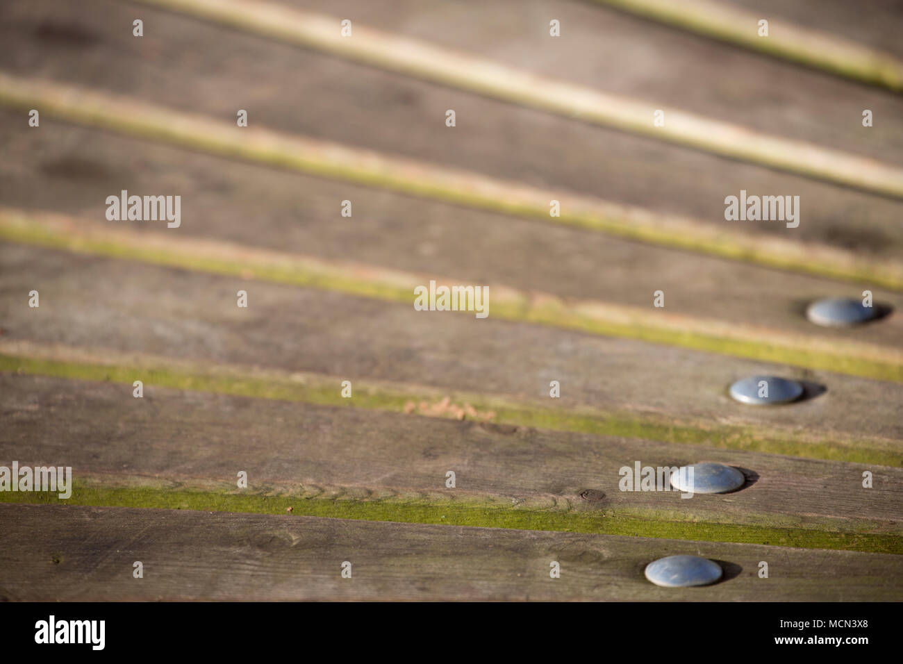 Assicelle di legno in un banco di circolare in un parco pubblico in Somerset England Regno Unito. Foto Stock
