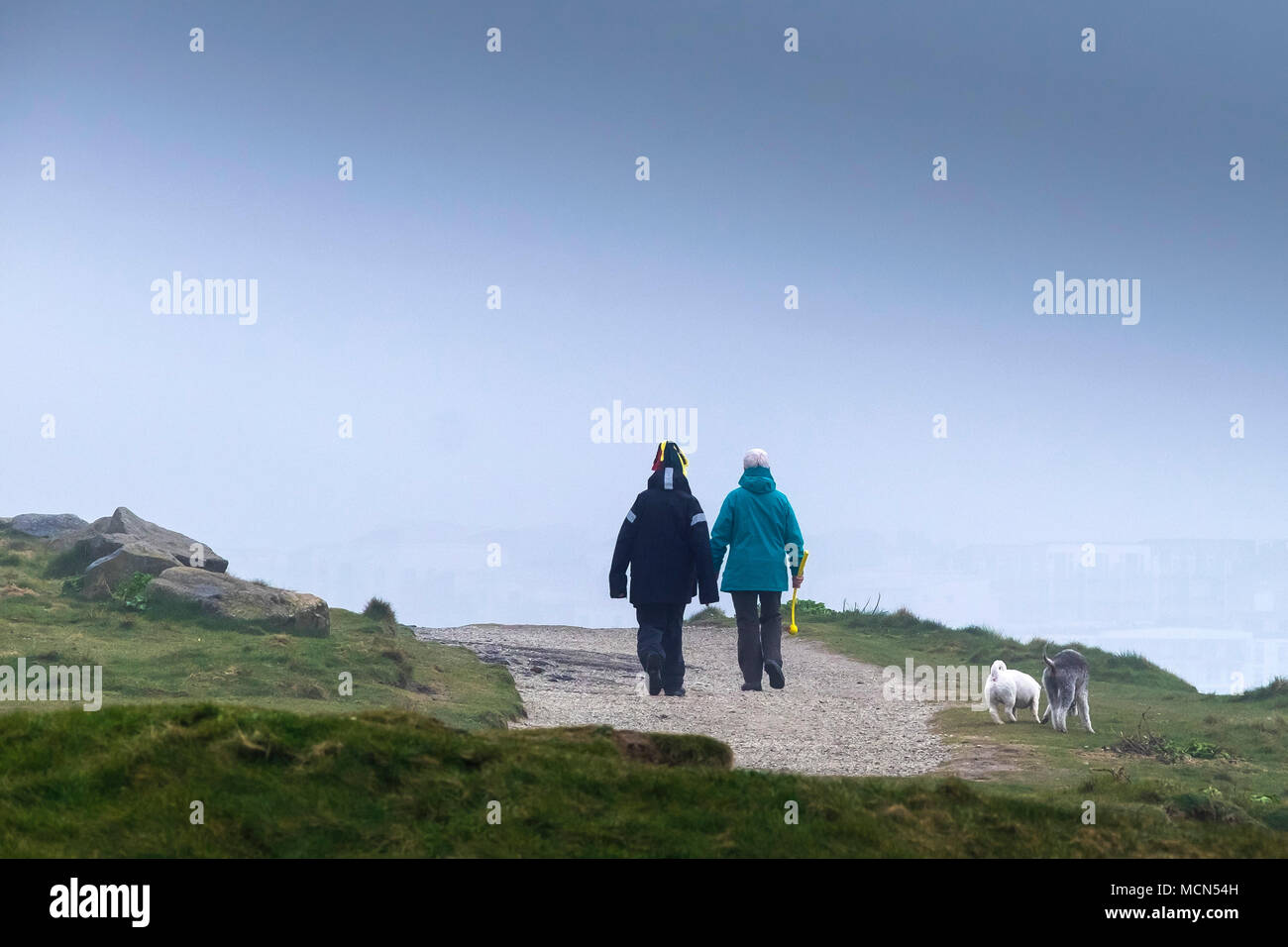 Dog walkers sul promontorio in misty condizioni meteorologiche in Newquay Cornwall. Foto Stock