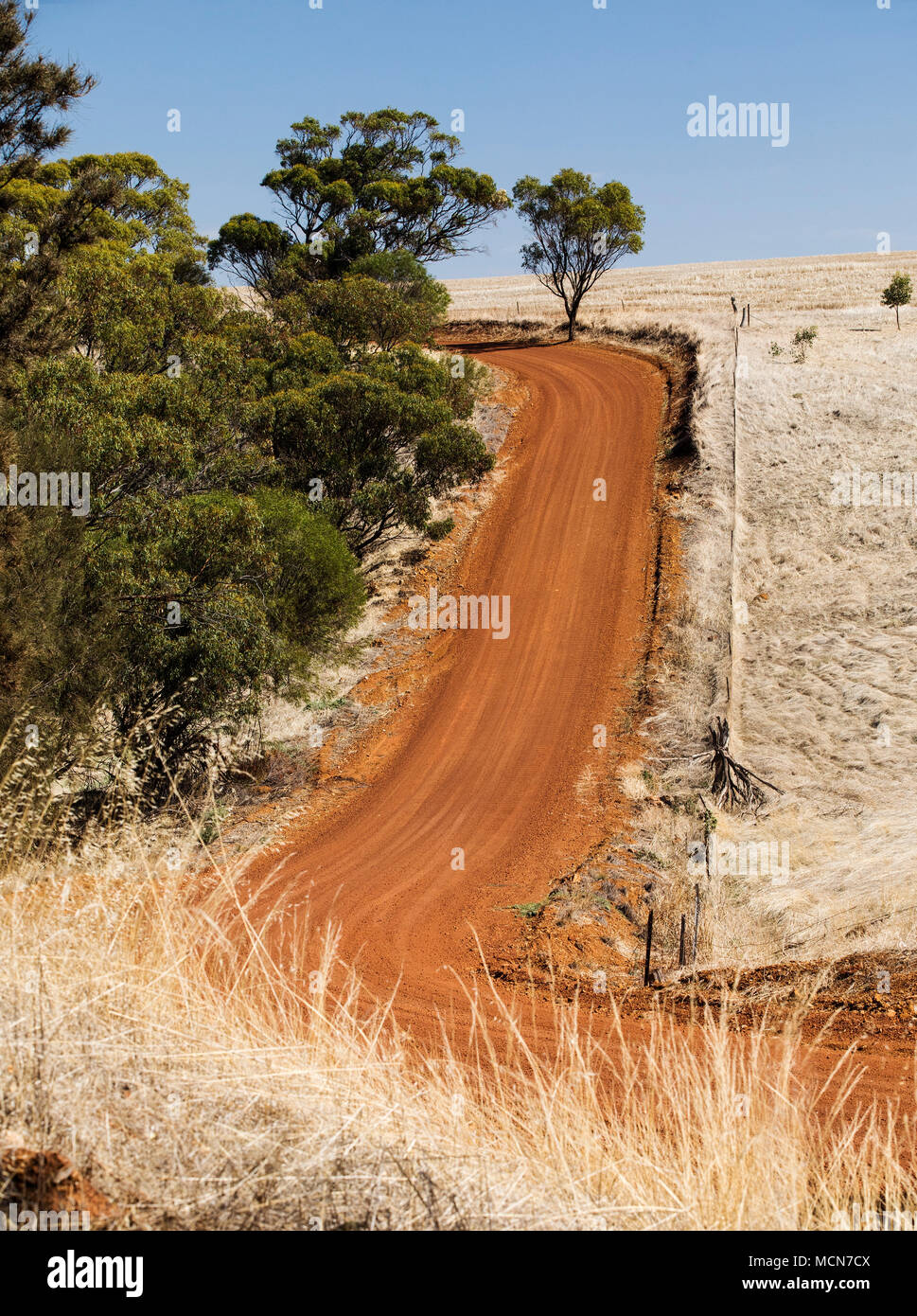 Pista intorno al Lago Dumbleyung, Australia Occidentale, posizione del record di velocità di acqua di Donald Campbell 31/12/1964 Foto Stock
