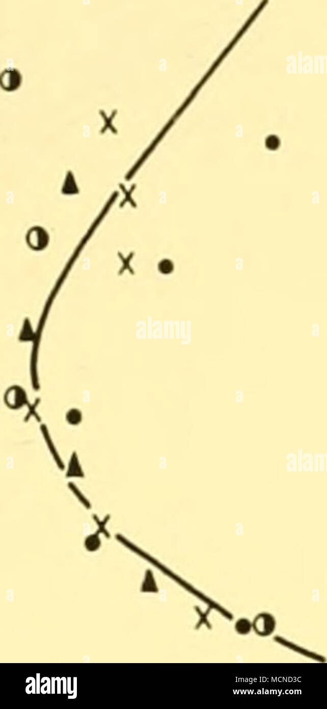 . "^â -i 1 r 2 3 4 ossigeno disciolto XI88: 9 S 9 e â ¢ 189: 9Â°S 6Â°E OI45: 15Â° S 7Â°E 4 144: Ib il 9Â°E Â©73: 34Â° S lfaÂ°E UNA 19 â â 37Â° S. L(&GT;Â°E. CC /litro Fig. 46. La temperatura e l'ossigeno nello strato di minimo di ossigeno a stazioni selezionate del 'Meteor' expedition, a nord e a sud della zona intervistati da "William Scoresby'. Le posizioni e le date di queste stazioni sono riportati nella Tabella 10. Con la successiva risalita si potrebbe prevedere che l'acqua sollevata alla superficie sarebbe fortemente impoverito in ossigeno disciolto e tanto più quanto più lontano a nord nella regione. Foto Stock