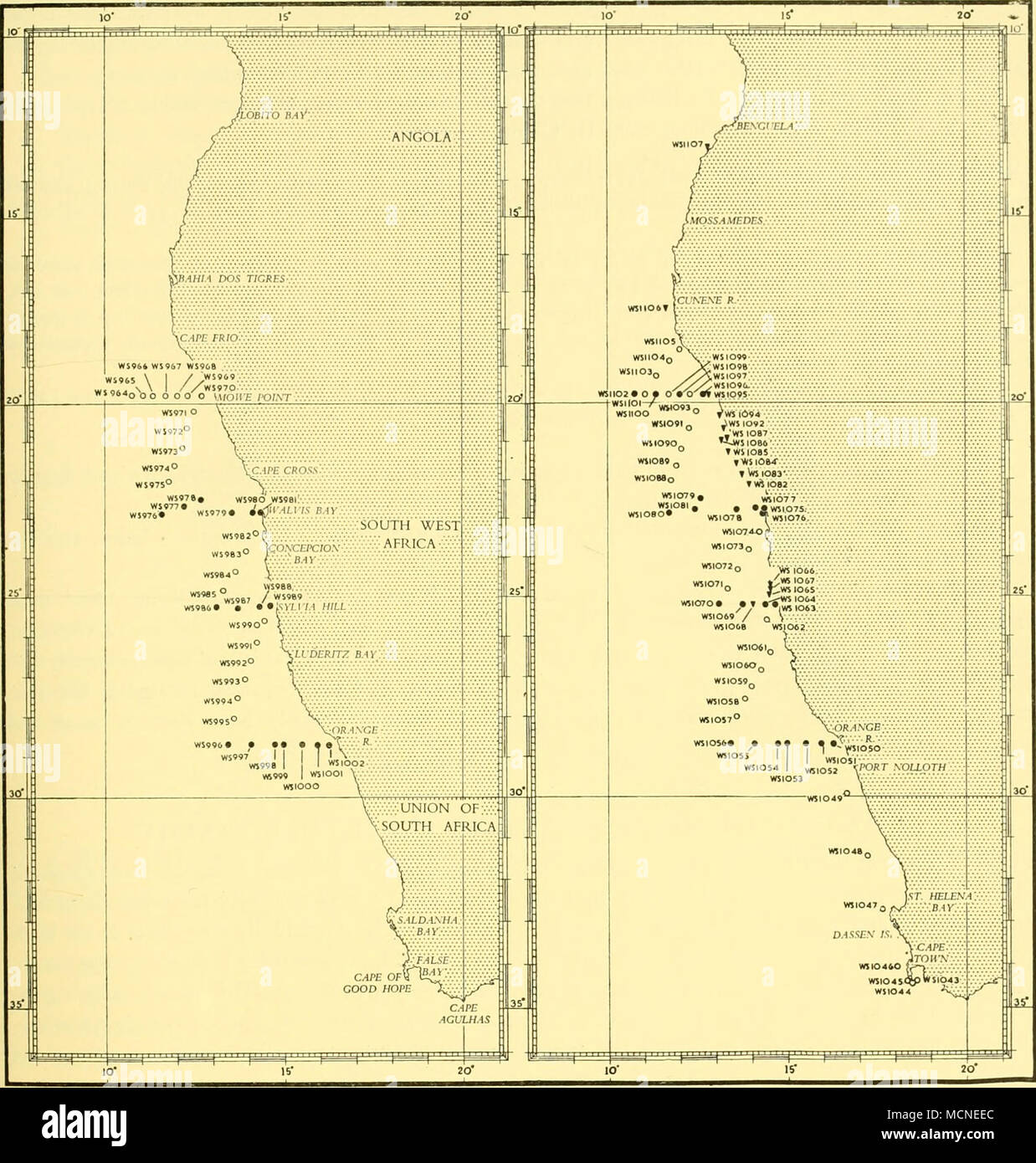 . Fig. i. Grafico della stazione, indagine I, marzo 1950. Posizioni di ' bathythermograph e il fitoplancton stazioni" sono indicati da cerchi vuoti, quelli di ' full' postazioni da circoli chiusi. Fig. 2. Grafico della stazione, indagine II, settembre-ottobre 1950. Simboli come in Fig. 1. Solid invertiti i triangoli indicano posizioni di campionamento inferiore-stazioni. Dopo aver visitato Hollam's Bird Island abbiamo completato la piena stazioni della linea centrale e la nave in cotto a vapore verso Walvis Bay rendendo bathythermograph osservazioni a WS 1071-4. Il 29 'Walvis Bay' linea è stato avviato e ha lavorato a WS 1079, dopo di che furt Foto Stock